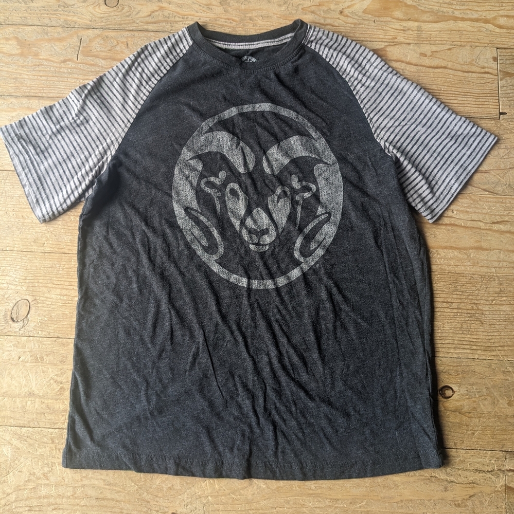 Colorado State Rams collegiate stripes sleeve t shirt size large
